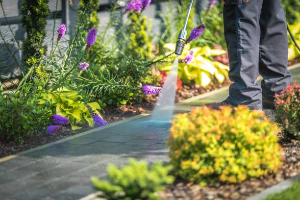 Best Fence Cleaning and Maintenance in Verona, WI