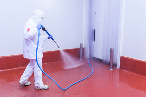 Best Window and Screen Pressure Cleaning in Verona, WI