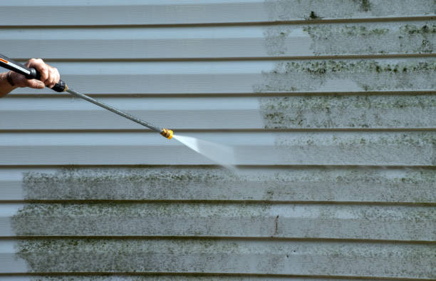 Best Sidewalk and Walkway Pressure Cleaning in Verona, WI